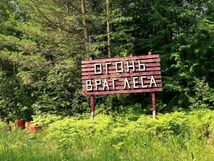 Минлесхоз напоминает нижегородцам о соблюдении правил пожарной безопасности в лесах   